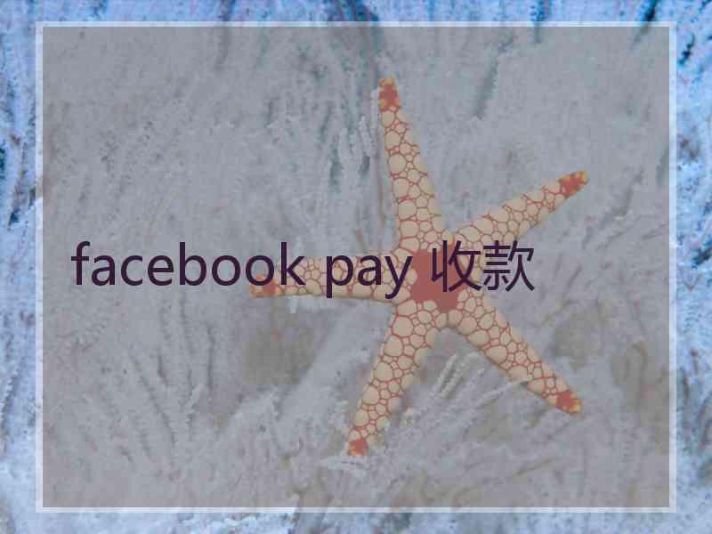 facebook pay 收款