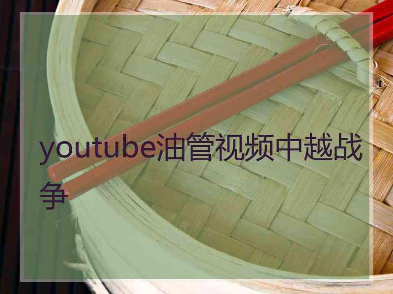 youtube油管视频中越战争