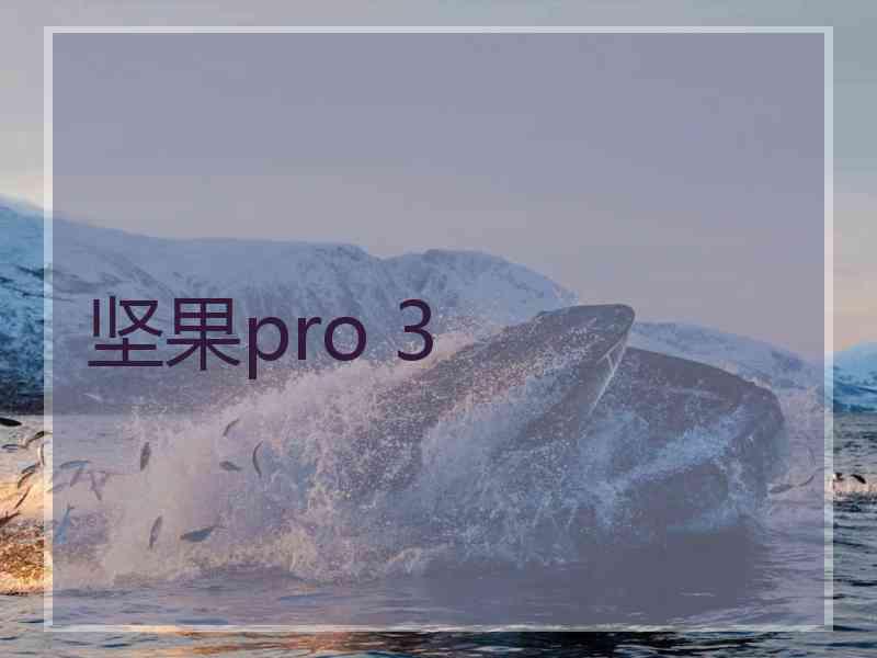 坚果pro 3