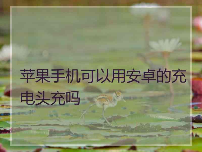 苹果手机可以用安卓的充电头充吗