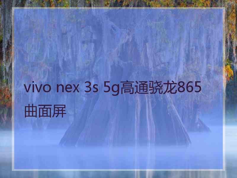 vivo nex 3s 5g高通骁龙865曲面屏