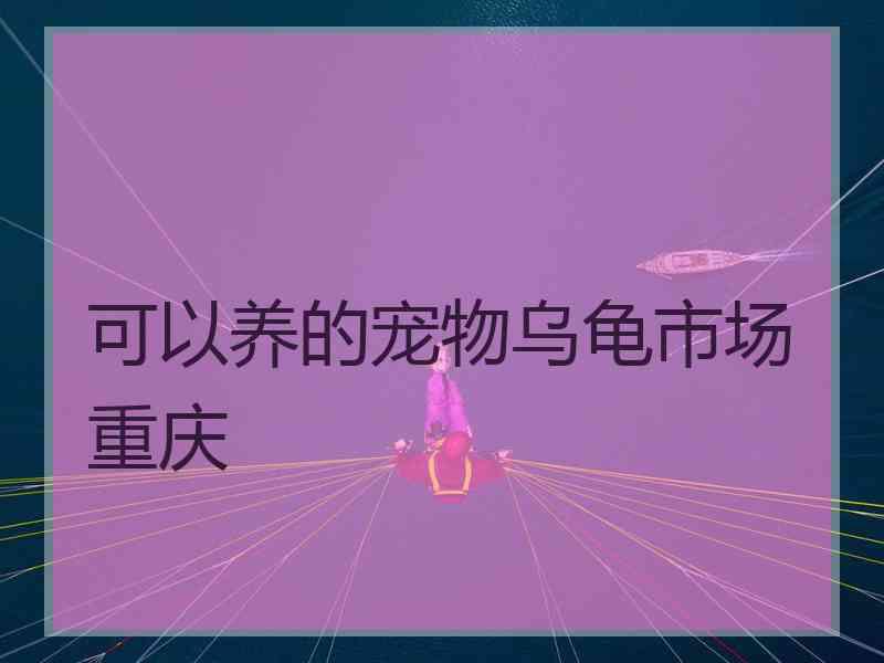 可以养的宠物乌龟市场重庆