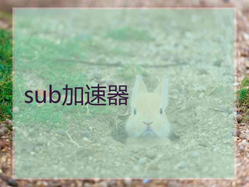 sub加速器