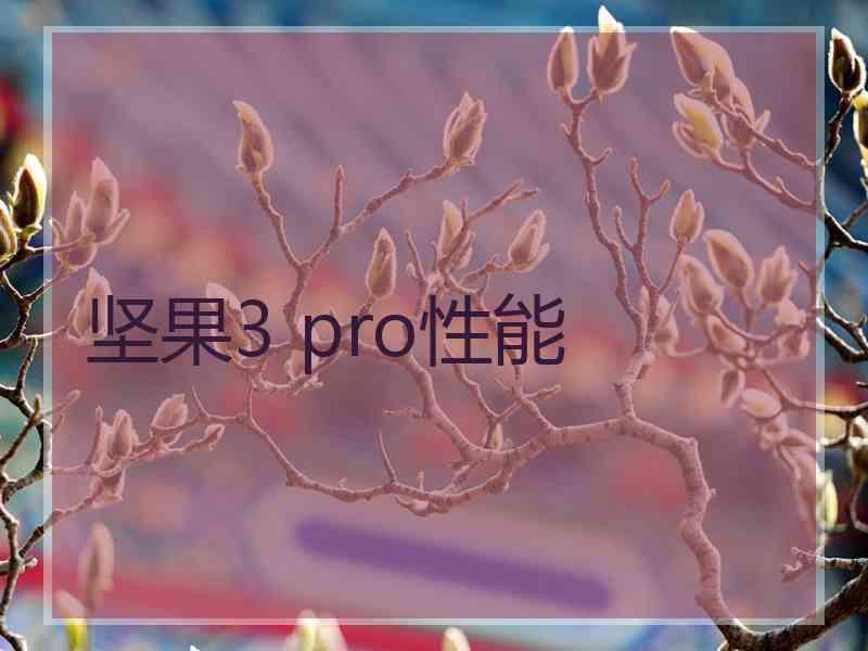 坚果3 pro性能