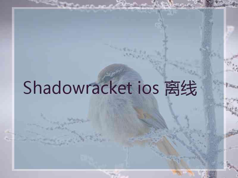 Shadowracket ios 离线