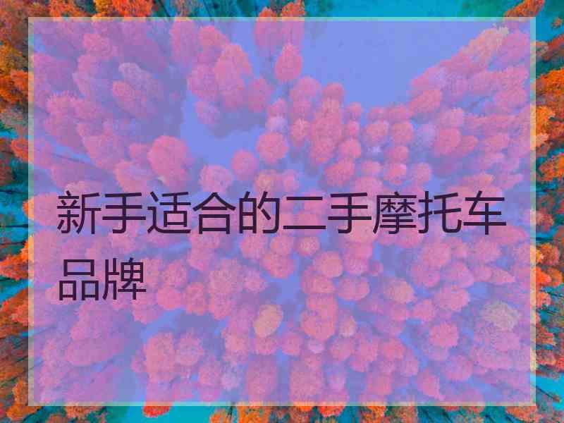 新手适合的二手摩托车品牌