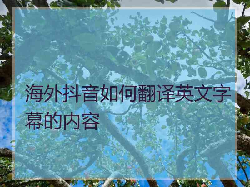 海外抖音如何翻译英文字幕的内容