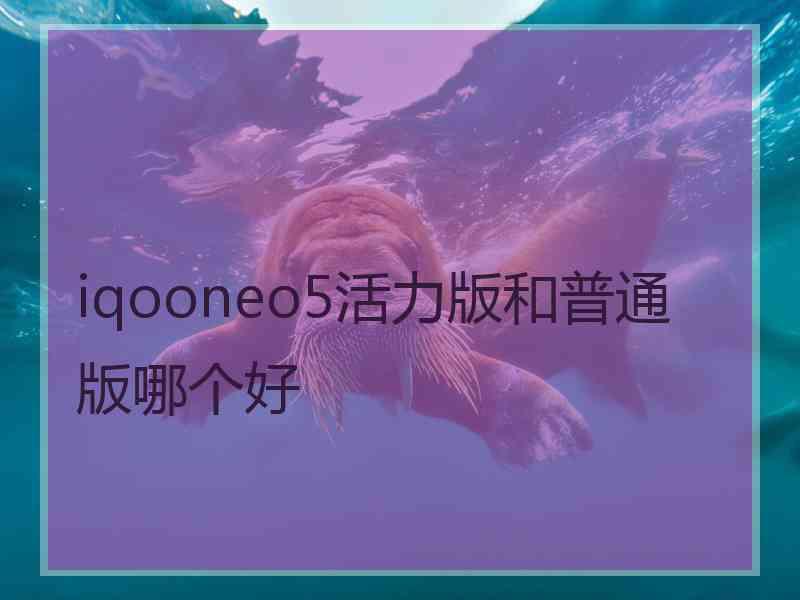 iqooneo5活力版和普通版哪个好