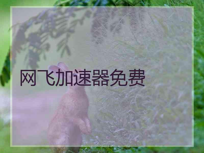 网飞加速器免费