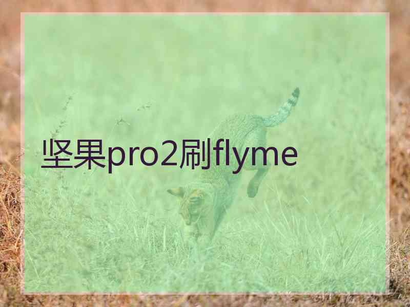 坚果pro2刷flyme