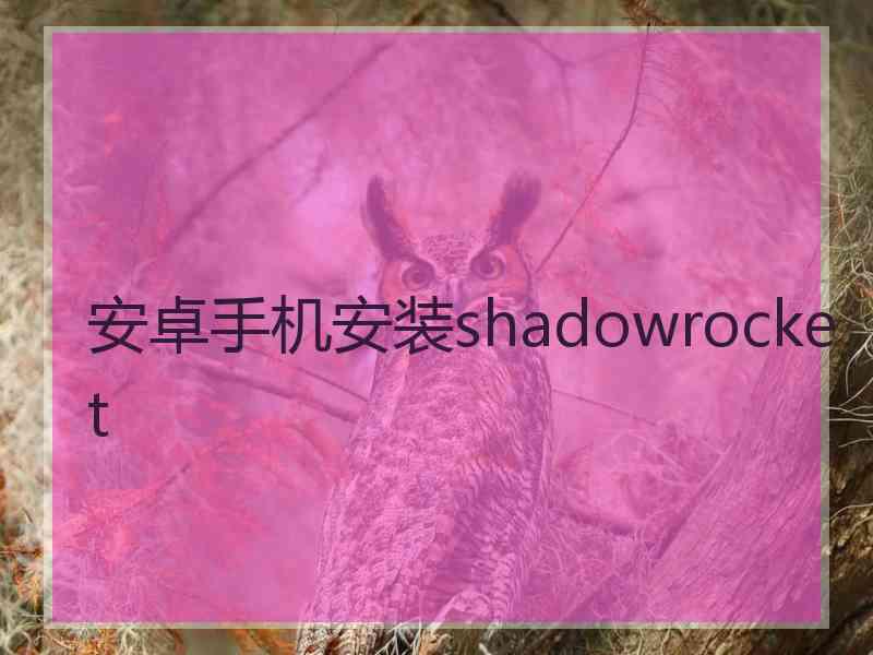 安卓手机安装shadowrocket