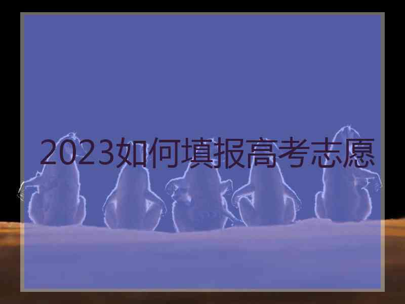 2023如何填报高考志愿