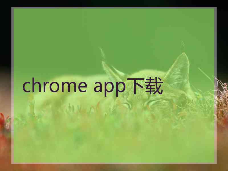 chrome app下载