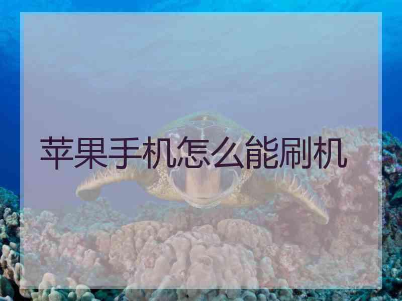 苹果手机怎么能刷机