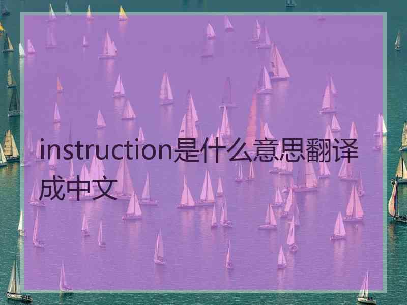 instruction是什么意思翻译成中文