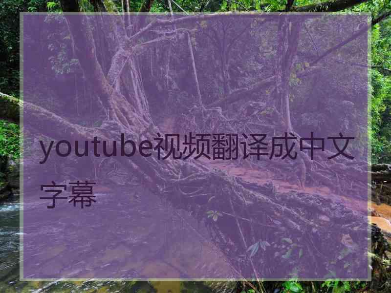 youtube视频翻译成中文字幕