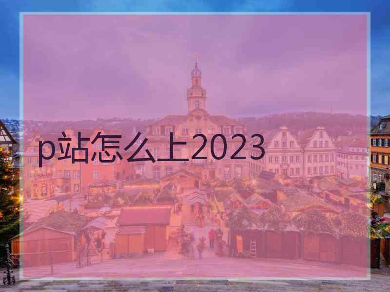 p站怎么上2023