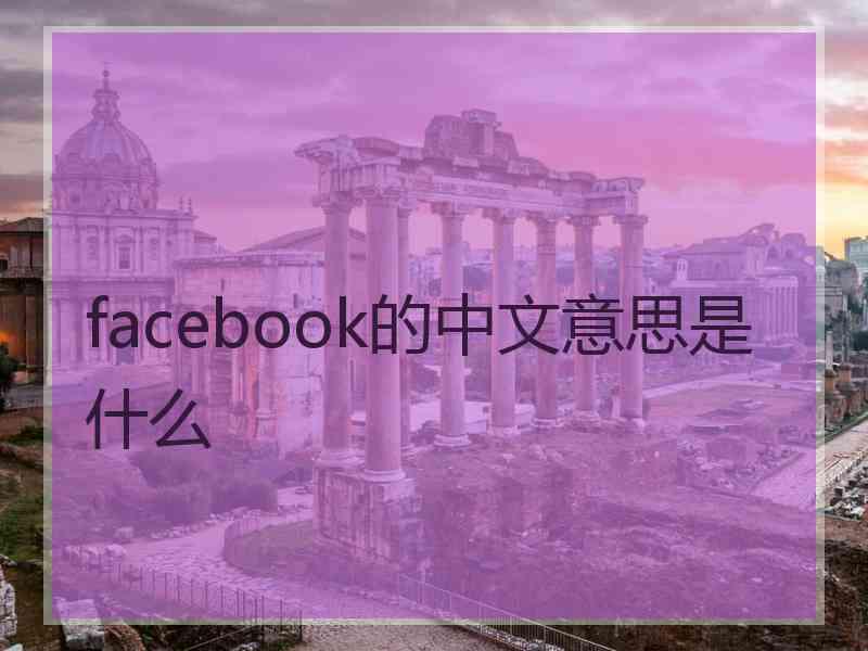 facebook的中文意思是什么