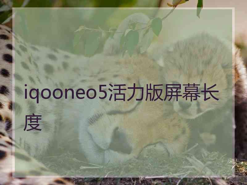 iqooneo5活力版屏幕长度