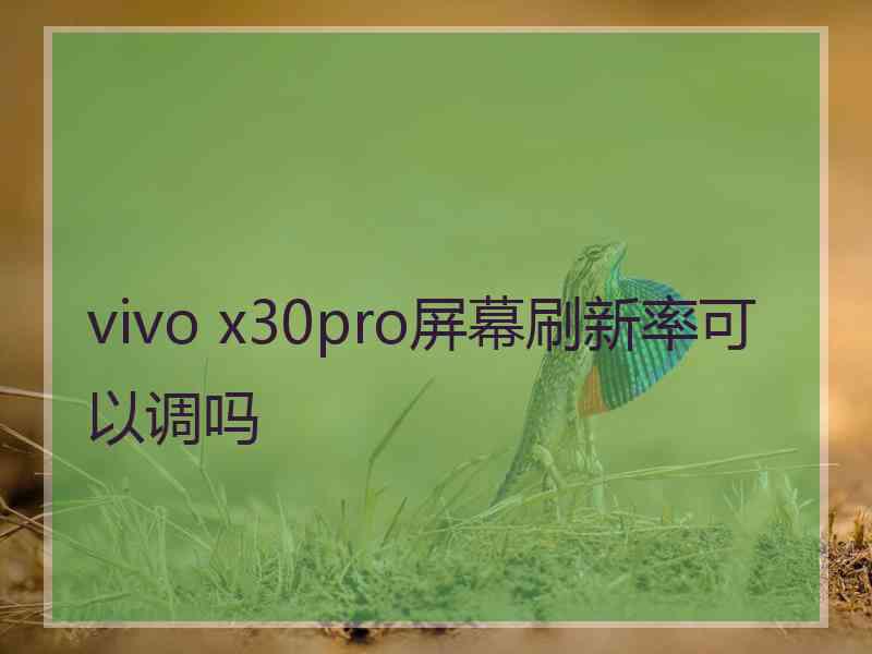 vivo x30pro屏幕刷新率可以调吗