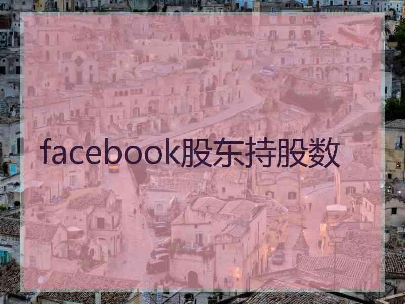 facebook股东持股数