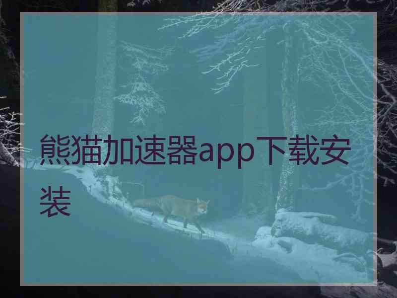 熊猫加速器app下载安装