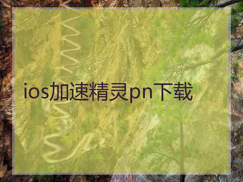 ios加速精灵pn下载