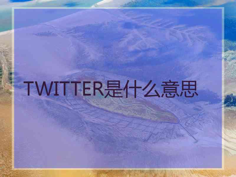 TWITTER是什么意思