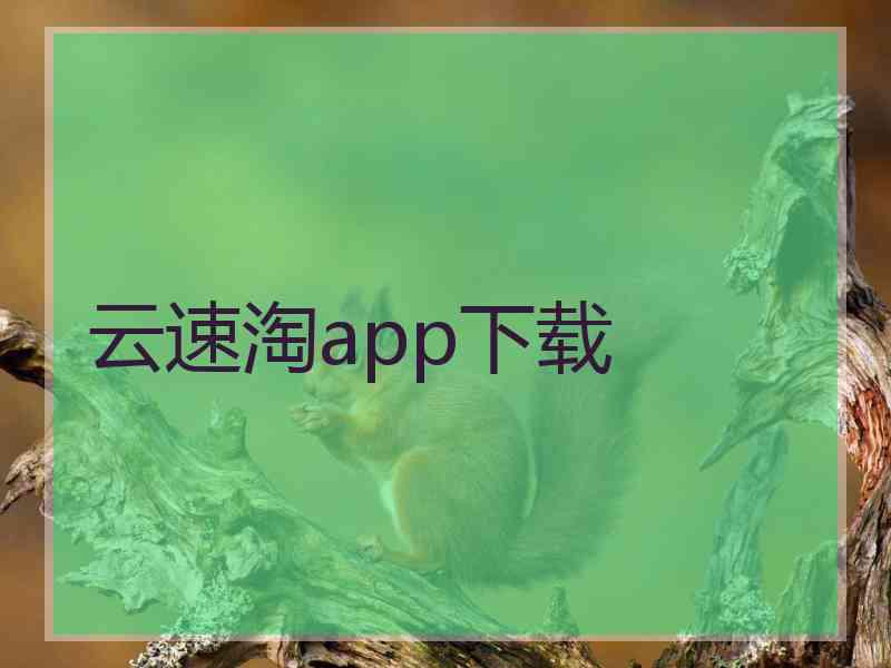 云速淘app下载