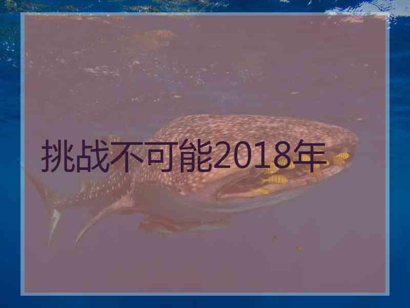 挑战不可能2018年