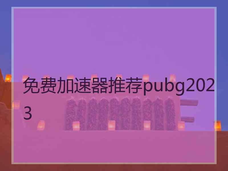 免费加速器推荐pubg2023