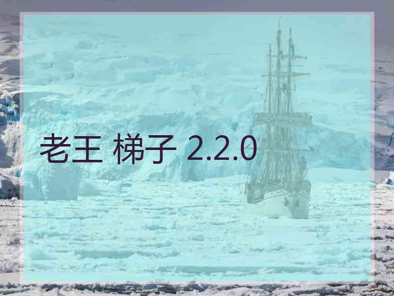 老王 梯子 2.2.0