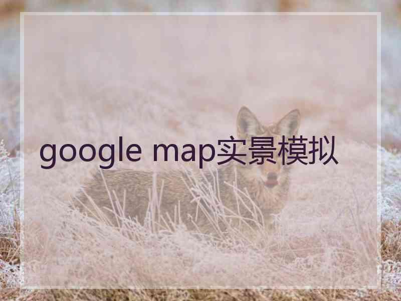 google map实景模拟