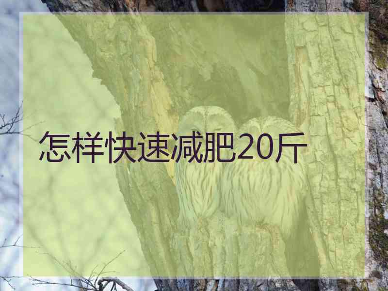 怎样快速减肥20斤