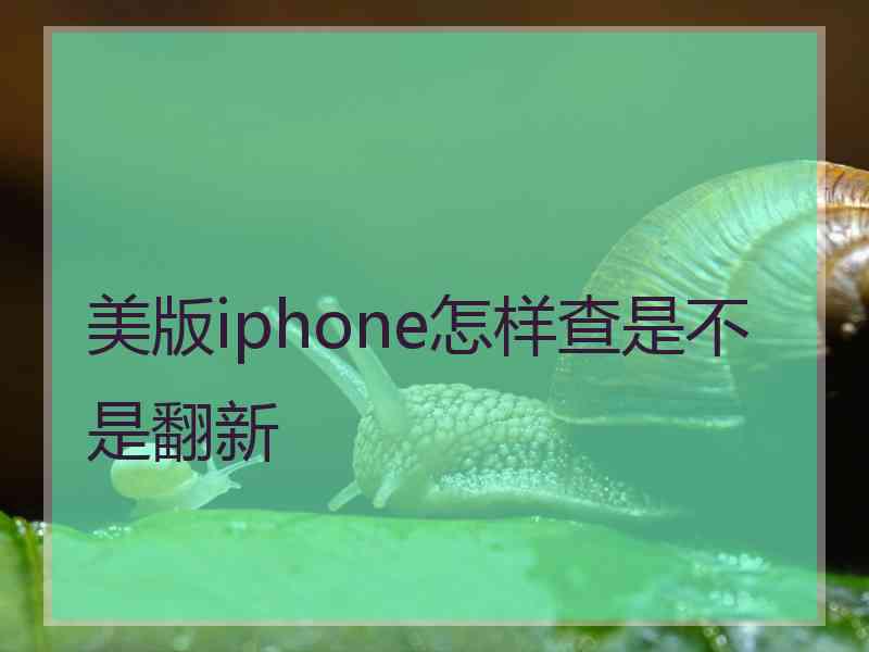 美版iphone怎样查是不是翻新