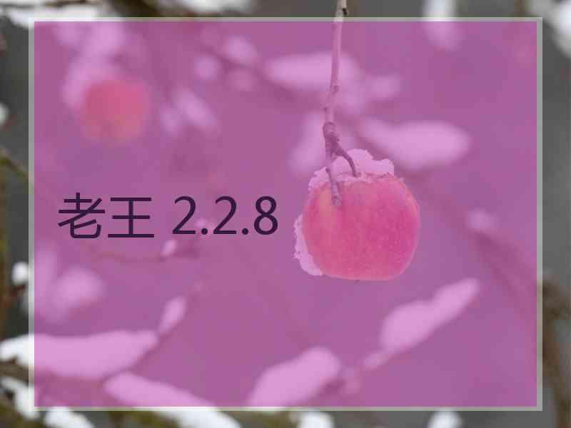 老王 2.2.8