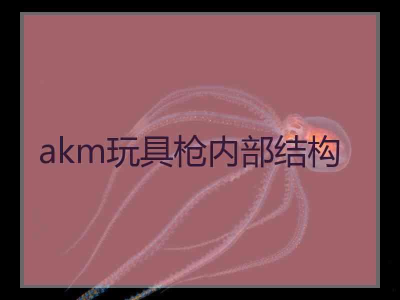 akm玩具枪内部结构