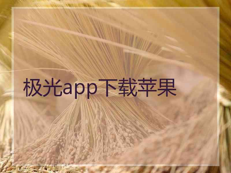 极光app下载苹果