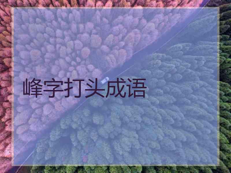 峰字打头成语