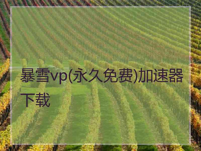 暴雪vp(永久免费)加速器下载