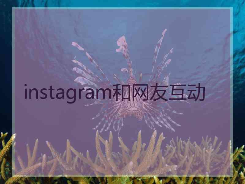 instagram和网友互动