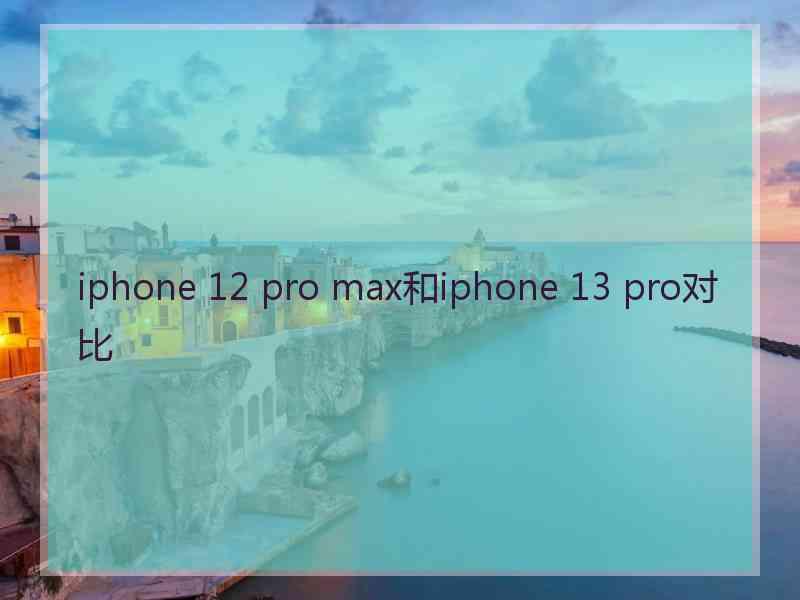 iphone 12 pro max和iphone 13 pro对比