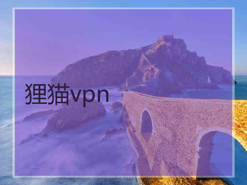 狸猫vpn