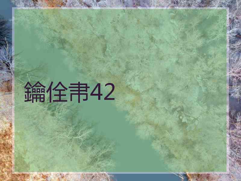 鑰佺帇42