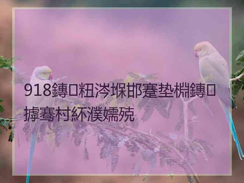 918鏄粈涔堢邯蹇垫棩鏄摢骞村紑濮嬬殑