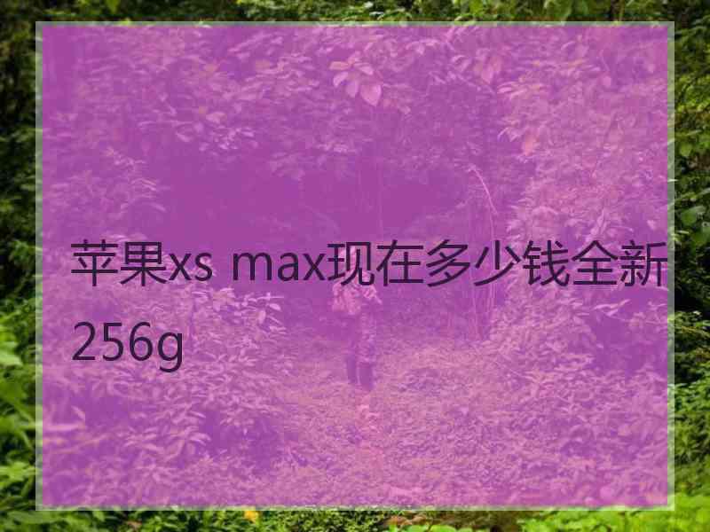 苹果xs max现在多少钱全新256g