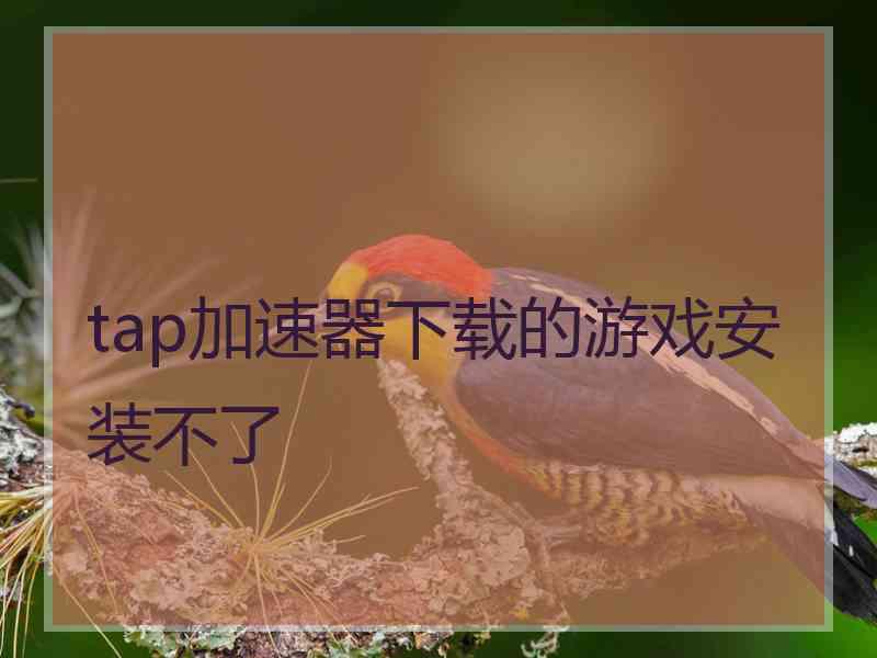 tap加速器下载的游戏安装不了