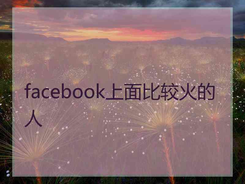 facebook上面比较火的人