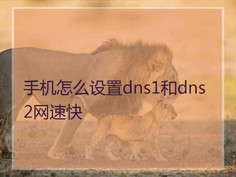 手机怎么设置dns1和dns2网速快