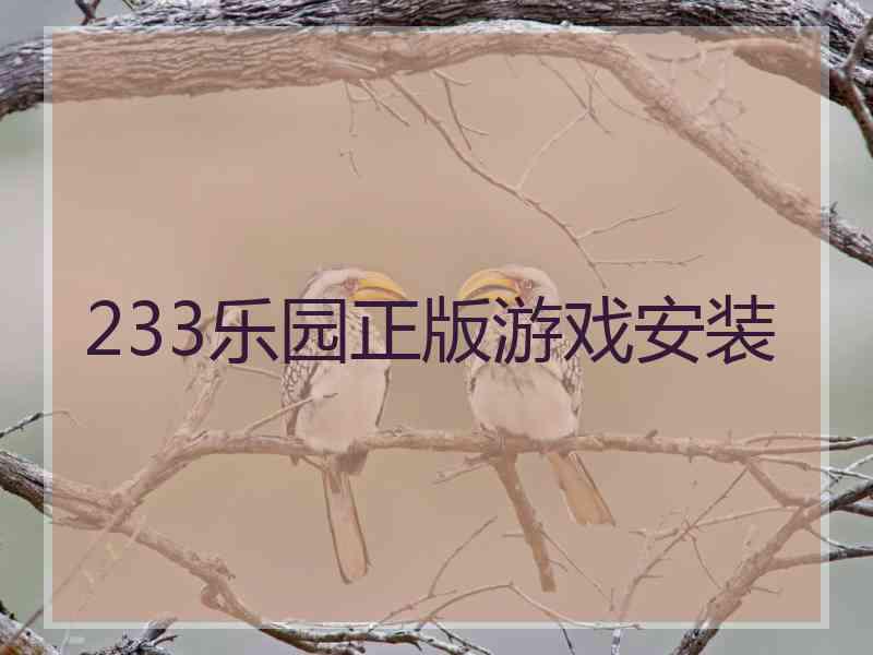 233乐园正版游戏安装